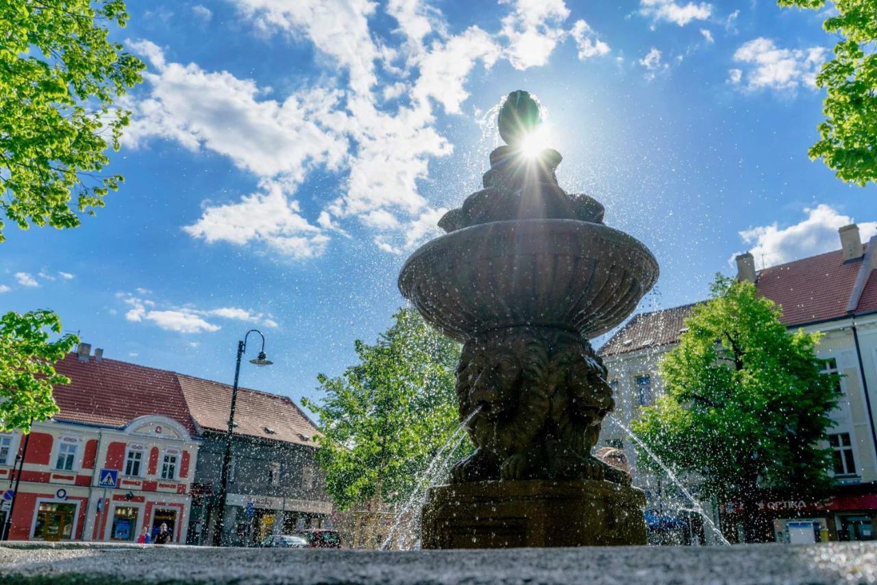 Penzion Homer Slaný Kültér fotó